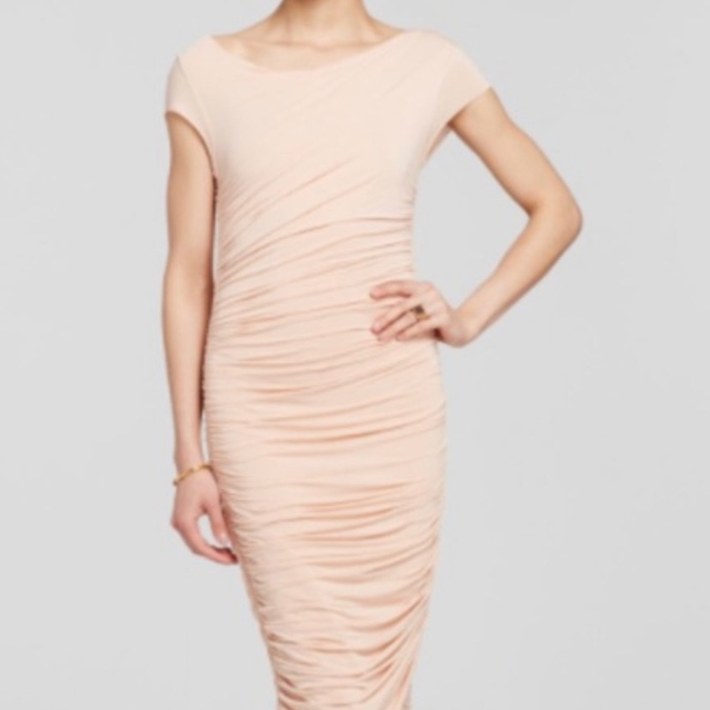 Never Worn Bailey 44 Dress - image 1